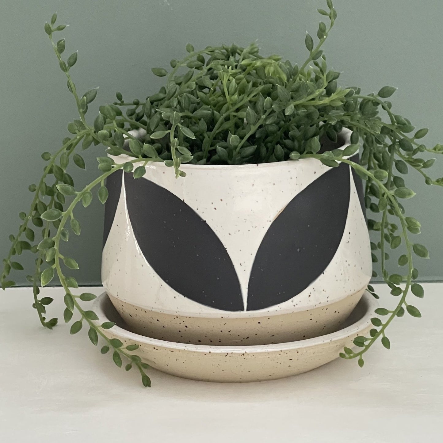 Planter solid leaves, black