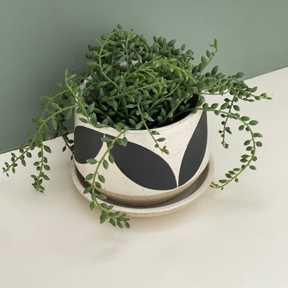 Planter solid leaves, black