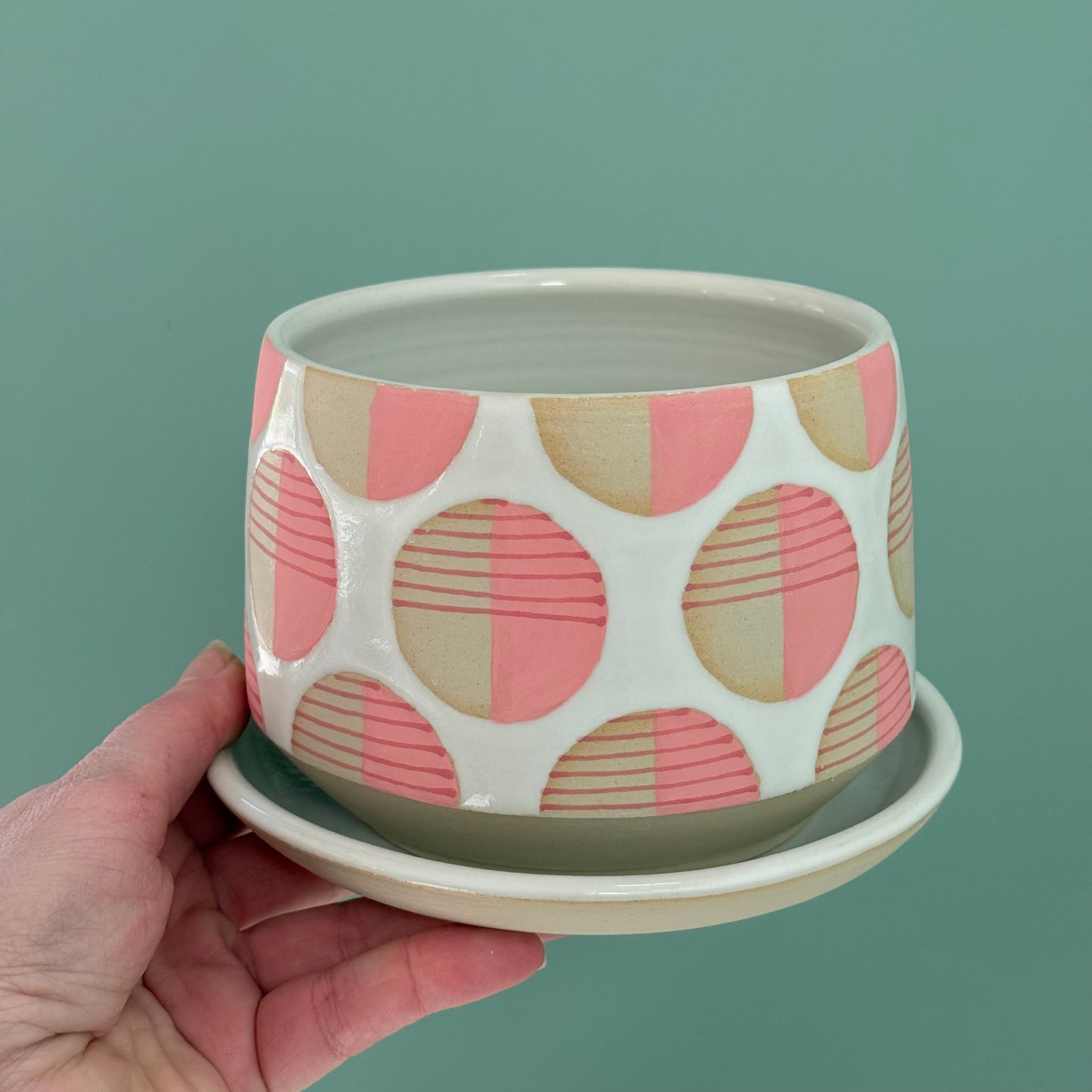 Planter, pink dots