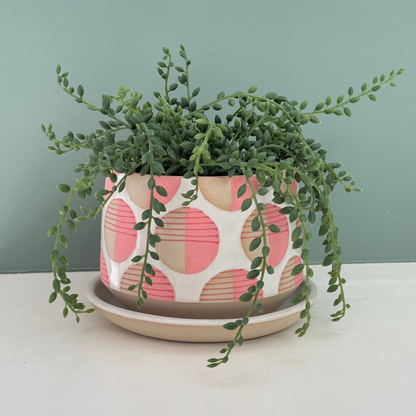 Planter, pink dots