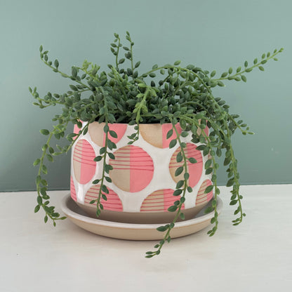 Planter, pink dots