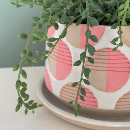 Planter, pink dots
